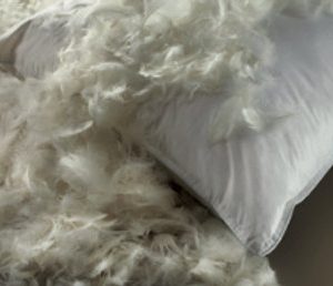 Ultra Luxury Feather Pillow